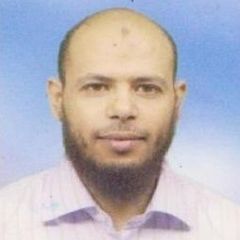 هشام محمد عبد الغفار, project manager 