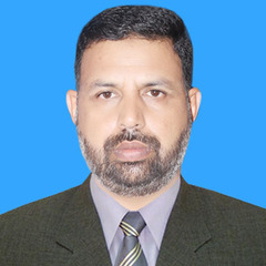 Mirza Fazal Manzoor, Logistics Executive