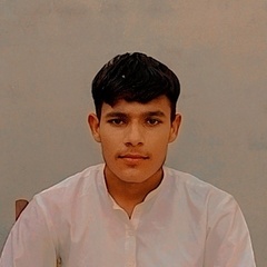 Faheem  Raza 