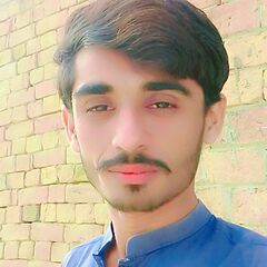 Muhammad  Waseem 