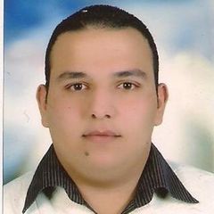 Hassan Mostafa, import specialist
