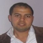 Tamer Shehata Aboraya, Area IT Manager