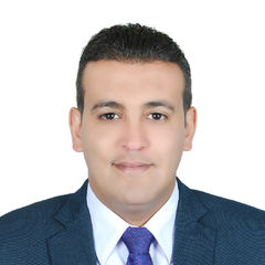 علاء ابو الفول, Head of Market risk & Basel Unit