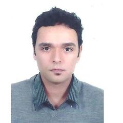 وسام سامى محمد حسن, technical support Engineer$system adminstrator