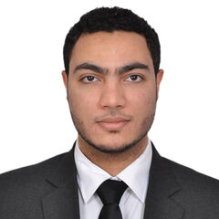 Ahmed A Hassan, Vat Consultant