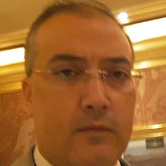 Ibrahim Zoghy, Sales Manager