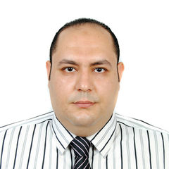 Mohammed Abdelmonem Abdelkawy Mohammed, Team Leader