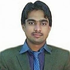 Tahseen Ali Abro, Network Internee