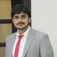 muhammad ali janjua, Assistant financial controller 