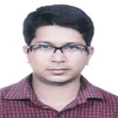 Shiladitya Kishore Debbarma, Data Validation Analyst