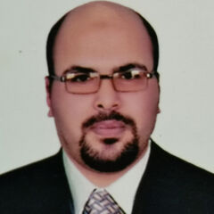 احمد شاكر حسني الغريب, محاسب عام