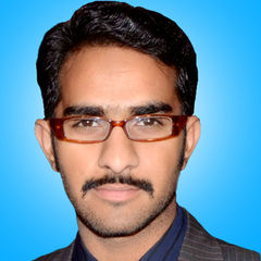 Mohammad Ahmad, Web Designer