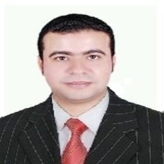 Waleed AbdelFattah Mohamed, IT Section Head