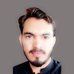 Muhammad Waqar ulhaq