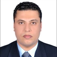 ibrahim mahmoud elnefili