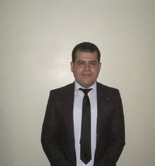 أحمد المنسي, accountant