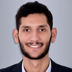 ahmed Sameh