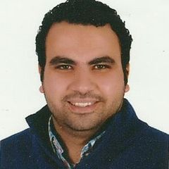 Mostafa Mahmoud Atris Elgabry, محامي