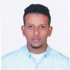 صالح احمد صالح, BMS Engineer
