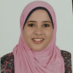Mariam Abdel Razek, Full Stack Developer