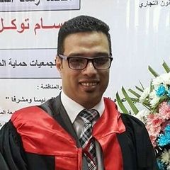 hossam mosa, chief of courts departement