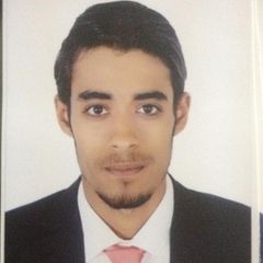 Ahmed Hesham Badawi, Civil Site Engineer