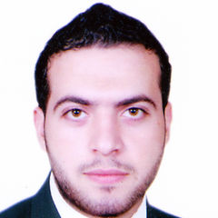 أحمد السيد, Construction accountant