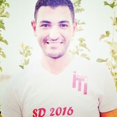 Ibrahim Mohsen, Senior Java Software Developer