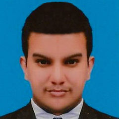 Wasim  Armstrong