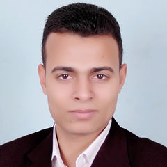 Abdel-Rahman Bakry, Accounts Manager