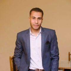 محمد سعيد بكري, محاسب عام للشركة