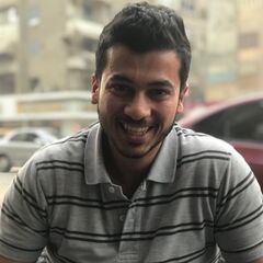 أحمد عاصم المتولي, Social Media Executive