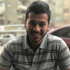 Ahmed Assem Elmetwally