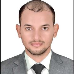 Gamal Nasser Gemey, Accountant