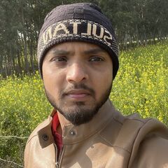 zain ansari