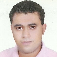mohamed amin