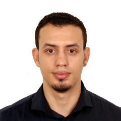 Mostafa Farghal, Chief Accountant