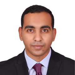 Omar Raslan, Business Development Manager