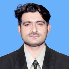 Gulfam Ali Shahzad