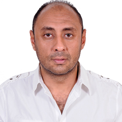 محمد بهجت, Technical director
