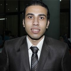 مصطفى محمود السيد, IT Specialist