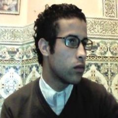 rachid elfakhar, Web developer