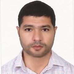 Moataz Saad Abdelmagid Mohamed Gamal Eldin - Project Manager - Bayt.com ...