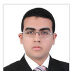 Mohamed Adel, Project Engineer