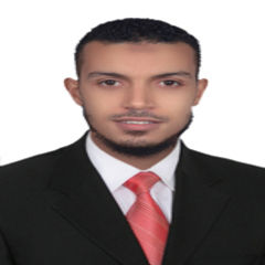 Mohamed Farag Hassan Ebrahim Hamouda