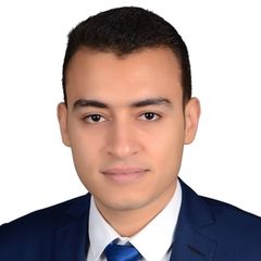 رجائى نهاد محمد وصفى لبيب labib, sales representative 