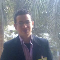 أيمن محمد فؤاد, Finance Manager