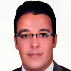 محمود حفناوي, مصور صحفي