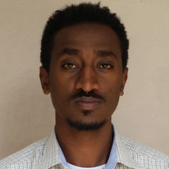 Million Alemayehu Mengesha, Geologist