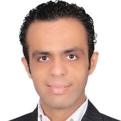 Amr Alaa El Awady, Accountant